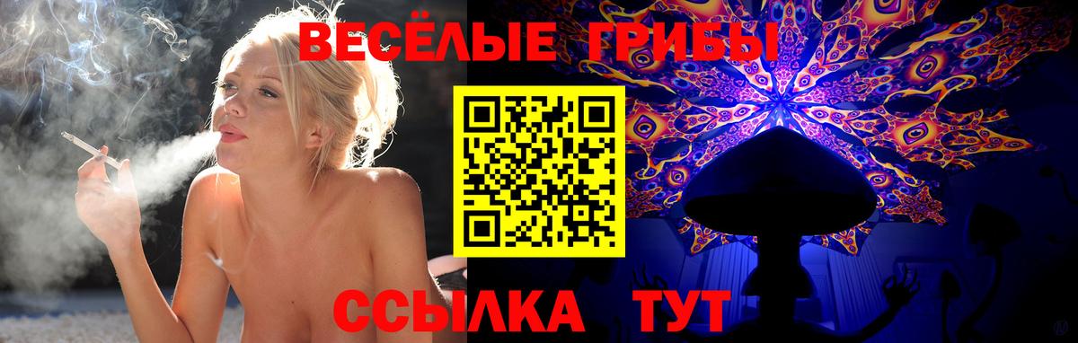 Псилоцибиновые грибы Magic Shrooms  Вход с VPN  Знаменск 